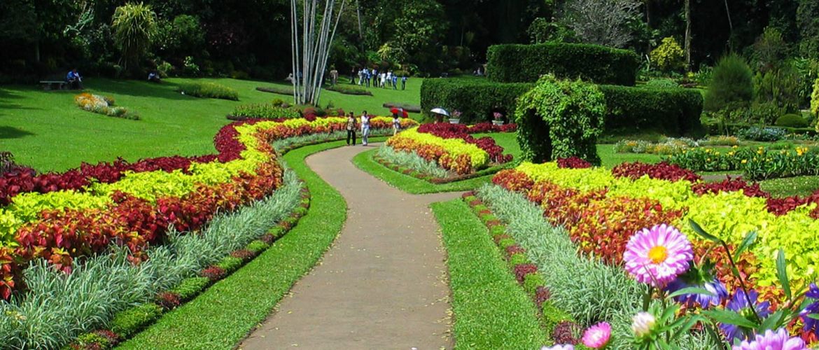 The Temple Of The Tooth